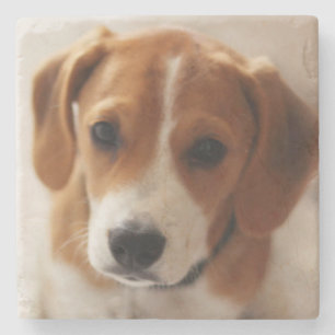 Beagle Puppy 2 Stenen Onderzetter