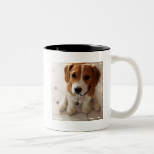 Beagle Puppy 2 Tweekleurige Koffiemok