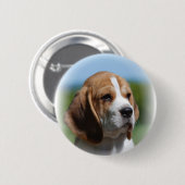 Beagle Puppy Button (Voorkant /achterkant)