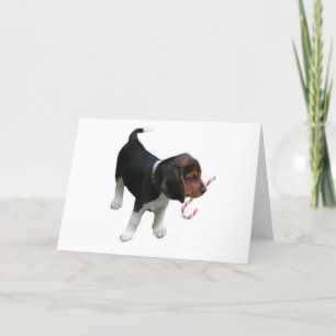 Beagle Puppy Candy Cane Kerstmis Kaart