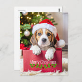 Beagle Puppy Christmas Design, Briefkaart (Voorkant / Achterkant)