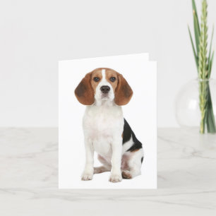 Beagle Puppy Dog Blank Note Card Kaart