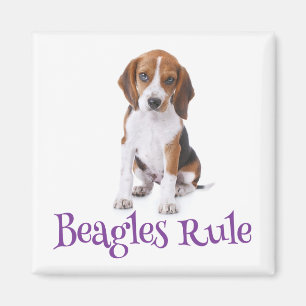 Beagle Puppy Dog Fridge Magnet Magneet