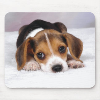Beagle Puppy Dog Muismat
