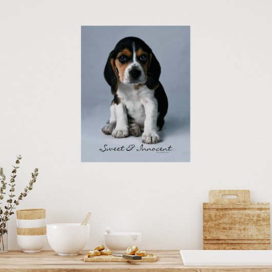 Beagle Puppy Dog Poster (Keuken)