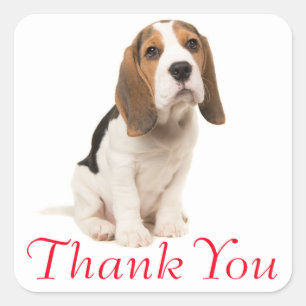 Beagle Puppy Dog Red Dank u - Bruiloft Vierkante Sticker