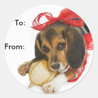 Beagle Puppy Gift Labels