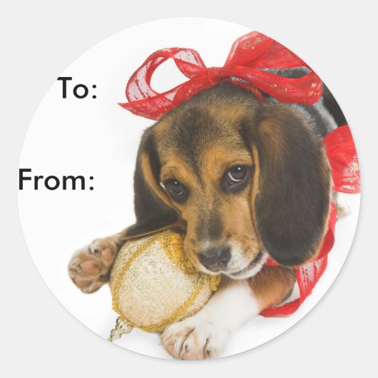 Beagle Puppy Gift Labels (Voorkant)