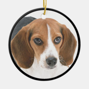 Beagle Puppy Keramisch Ornament