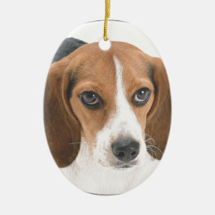 "Beagle Puppy" Keramisch Ornament