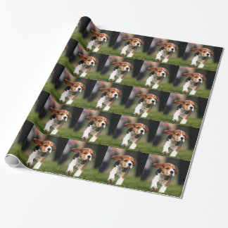 Beagle Puppy Love Cadeaupapier