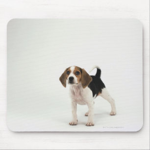 Beagle puppy muismat