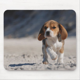 Beagle puppy muismat