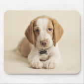Beagle Puppy Muismat (Voorkant)