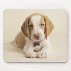 Beagle Puppy Muismat