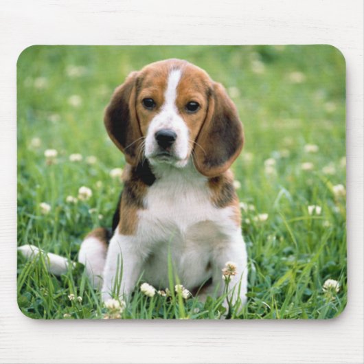 Beagle Puppy Muismat (Voorkant)