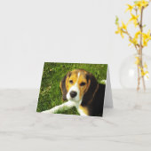 Beagle Puppy Note Card Kaart (Gele Bloem)