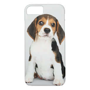 Beagle Puppy, ongelooflijk schattig iPhone 8/7 Hoesje