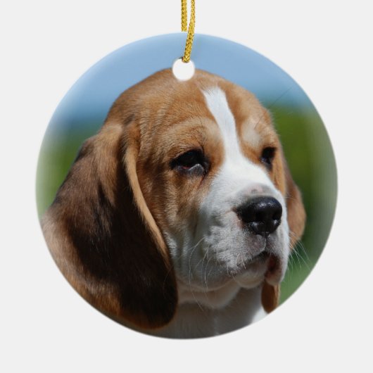 Beagle Puppy Ornament (Voorkant)