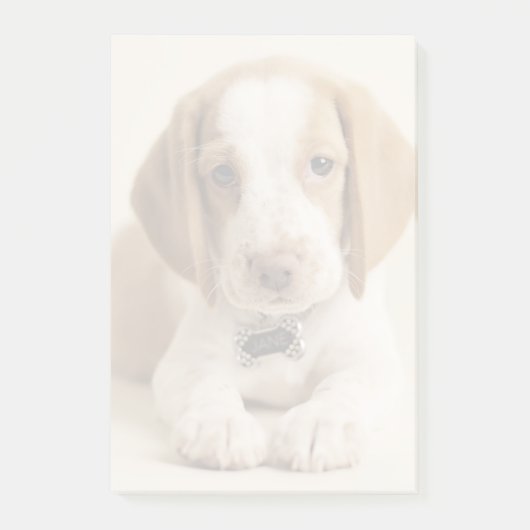 Beagle Puppy Post-it® Notes (Voorkant)