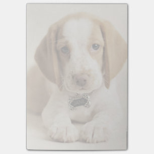 Beagle Puppy Post-it® Notes