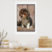 Beagle Puppy Poster (Keuken)