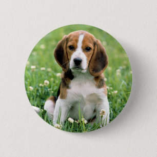Beagle Puppy Ronde Button 5,7 Cm