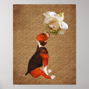 Beagle Puppy Roos Aged Paper Poster
