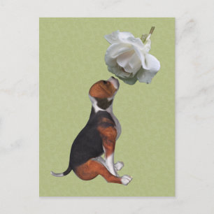 Beagle Puppy White Rose Cute Dog Briefkaart