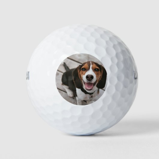 Beagle_puppy zittende golfballen (Voorkant)