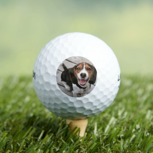 Beagle_puppy zittende golfballen (Insitu Shirt)