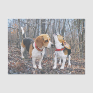 Beagle Pups in het Bos-weefselpapier Tissuepapier