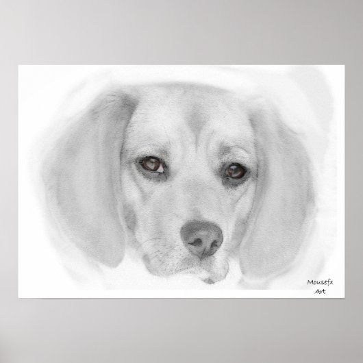 Beagle Sketch Poster (Voorkant)