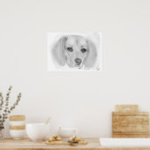 Beagle Sketch Poster (Keuken)