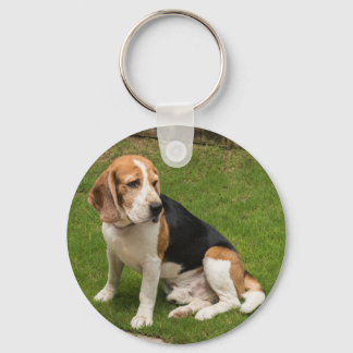 Beagle Sleutelhanger