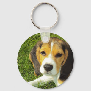 Beagle Sleutelhanger