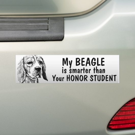 Beagle - Smarter dan eerling student - grappig Bumpersticker (Op auto)