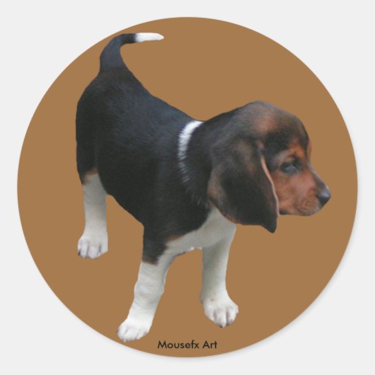 Beagle Sticker (Voorkant)
