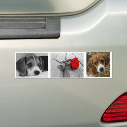 Beagle stickers (Op auto)