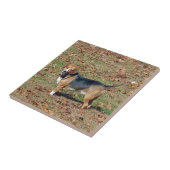 Beagle Tegeltje (Zijkant)
