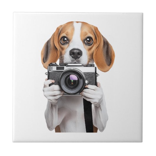Beagle Tegeltje (Voorkant)