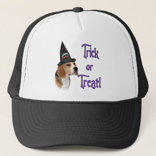Beagle Trick Trucker Pet