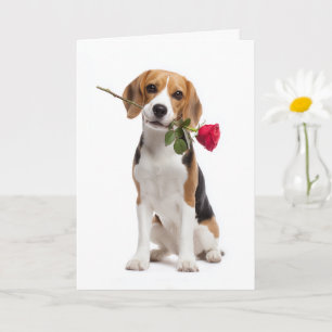 Beagle Valentine – Trouwvolle Liefde met een Roos Kaart