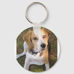 Beagle vergadering 2 sleutelhanger