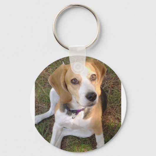 Beagle vergadering 2 sleutelhanger (Voorkant)