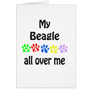 Beagle wandelingen ontwerp