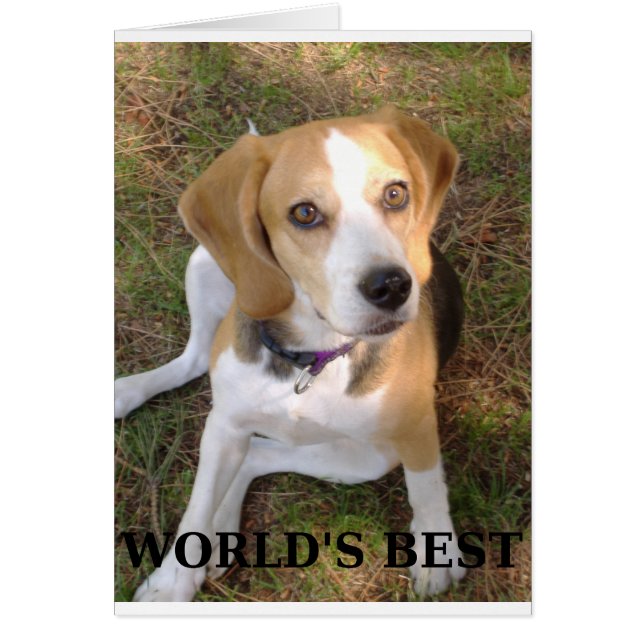 Beagle Worlds Best (Voorkant)