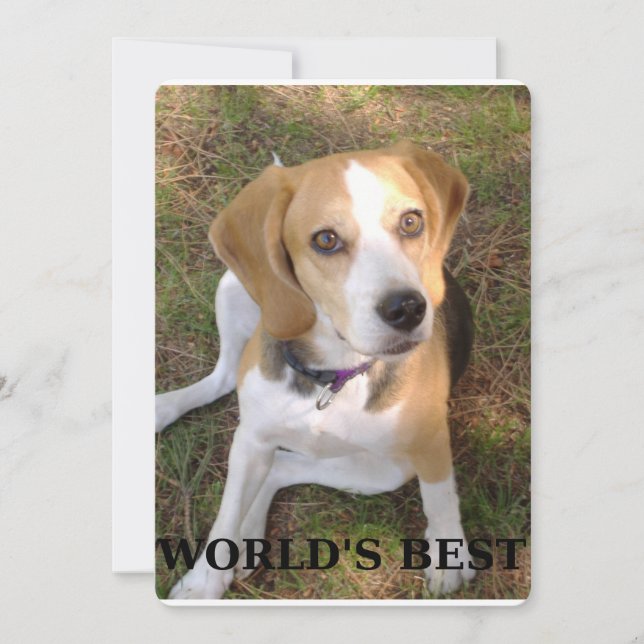 Beagle Worlds Best (Voorkant)