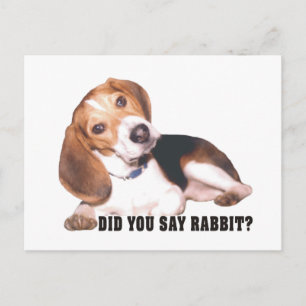 Beagle zei je konijn? Briefkaart