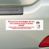 Beagle zoals ik/dierproeven bumpersticker (Op auto)